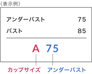 ワコール ブラジャーサイズ表記の見方