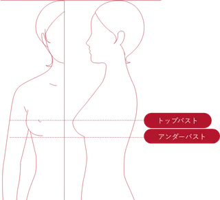トリンプ ブラジャーフィッティングチェックポイント